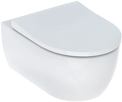 Унитаз подвесной Geberit iCon 500.784.01.1 с сиденьем и быстросъемной крышкой с микролифтом