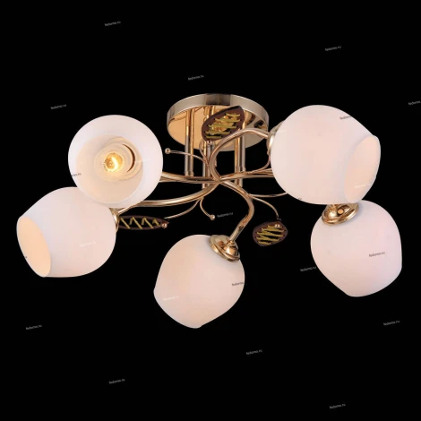 Natali Kovaltseva 11456 11456/5C FRENCH