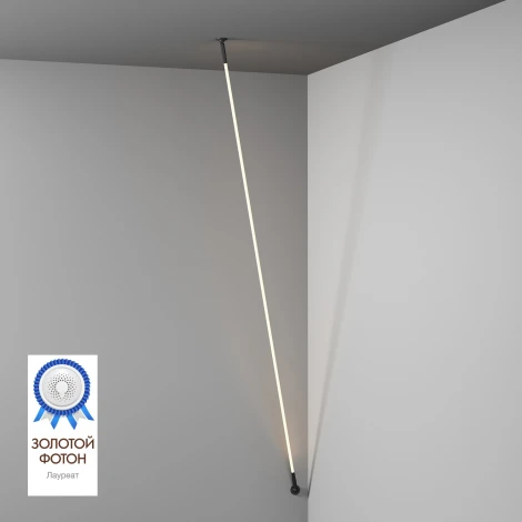 Настенный светильник с гибким неоном Denkirs Flex DK7505-BK (LED, 24V)