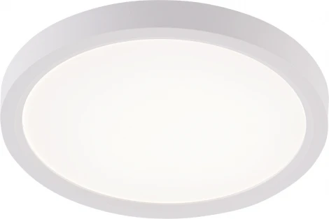 Потолочный светильник светодиодный 10W, белый Natali Kovaltseva Plain LED LAMPS 81113/1C