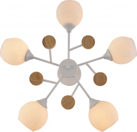 Потолочная люстра на штанге Rivoli Chiara 9180-305