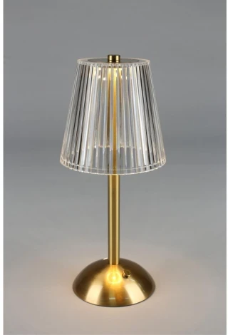 Настольная лампа светодиодная Omnilux OML-40004-01 (220V, гриб)