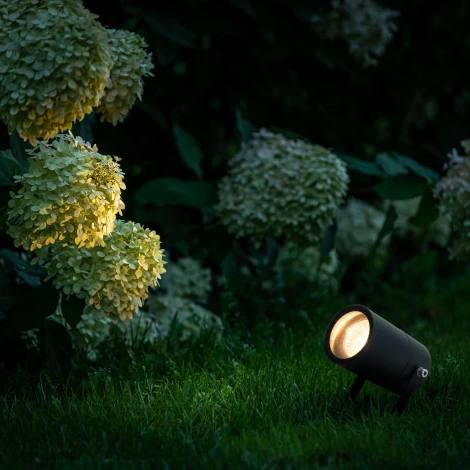 Грунтовый светильник-прожектор Elektrostandard Landscape/2 35146/S черный (220V, IP65)