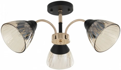 Потолочная люстра на штанге Arte Milano Napoli 320119/3 FG+BK (220V)