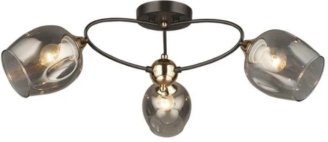 Потолочная люстра Wedo Light Lenyano 66660.01.15.03