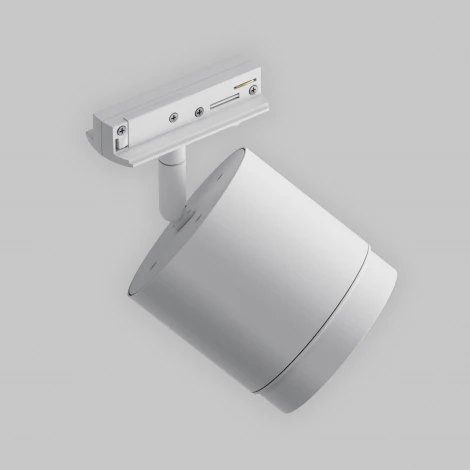 Трековый светильник однофазный 220V Maytoni Polar TR088-1-GX53-W (круглые)