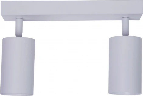 Потолочный светильник спот Brizzi Aras BR08083