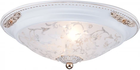 Потолочный светильник Maytoni Diametrik C907-CL-02-W