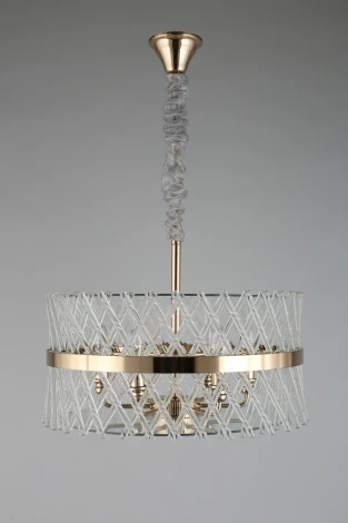 Подвесная люстра Aployt Toinet APL.734.06.06 (220V, на цепи, круглые)