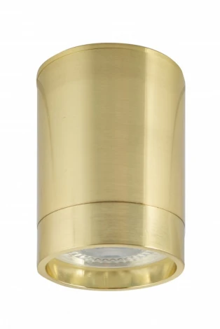 Накладной точечный светильник Denkirs DK2000 DK2050-BS