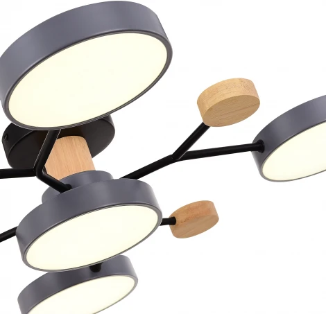 Потолочная люстра на штанге Evoluce Faema SLE6006-702-05