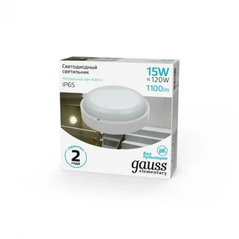 Настенно-потолочный светильник Gauss 126411215