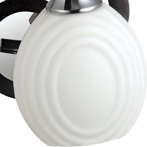 Бра Toscom Trum TC-300-301