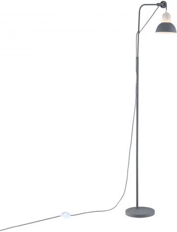 Торшер Freya Luisa FR5008FL-01GR