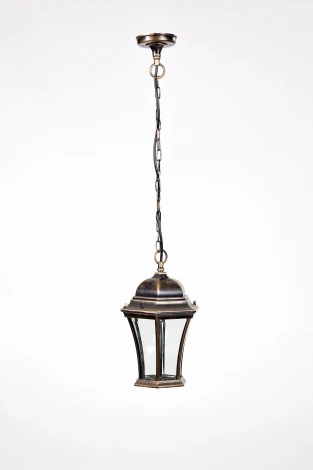Уличный светильник подвесной Oasis Light Astoria 1 L Bg 91305L