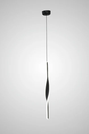 Подвесной светильник светодиодный AM Group AM465 BK (220V, на проводе)