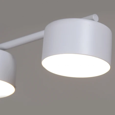 Потолочная люстра на штанге Reluce 03725-0.3-06 WT GX53