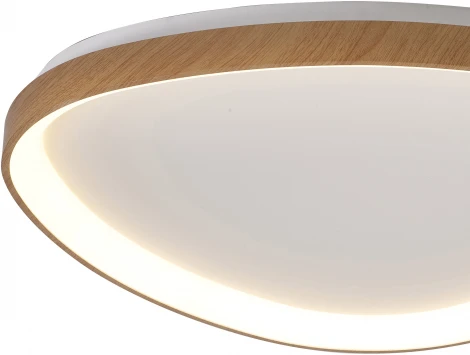 Потолочный светильник фигурный Mantra Niseko 8059