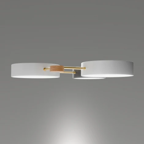 Потолочный светильник светодиодный круглый Lightera Tizzo LE239PL-3WG