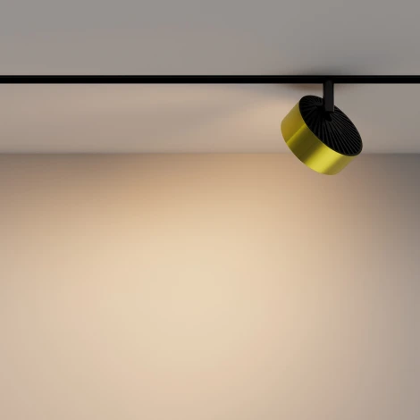 Трековый светильник магнитный 48V Maytoni Rado TR040-2-18W3K-BBS (LED, круглые)