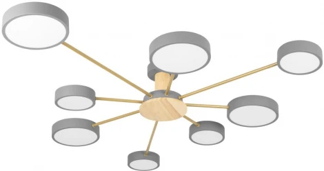 Потолочная люстра на штанге Loft It Sunrise 10316/8 Grey (LED, 220V, круглые)