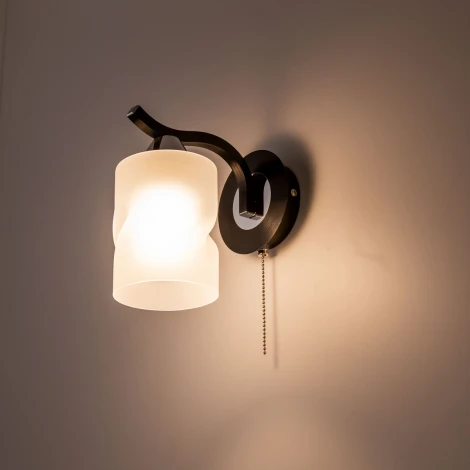 Бра Citilux Сиерра CL119411 (220V, выключатель)