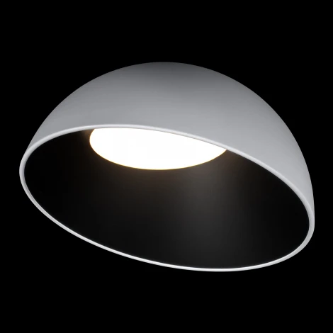 Потолочный светильник светодиодные Loft It Egg 10197/500 WB