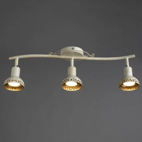 Спот Arte Lamp Focus A5219PL-3WG