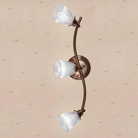 Спот Citilux Виндзор CL539531