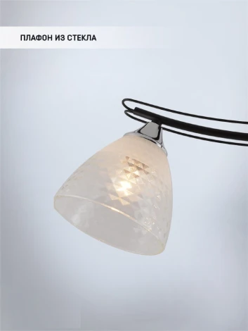 Потолочная люстра на штанге Seven Fires Dzhoun SF3382/3C-BK-CR-WT