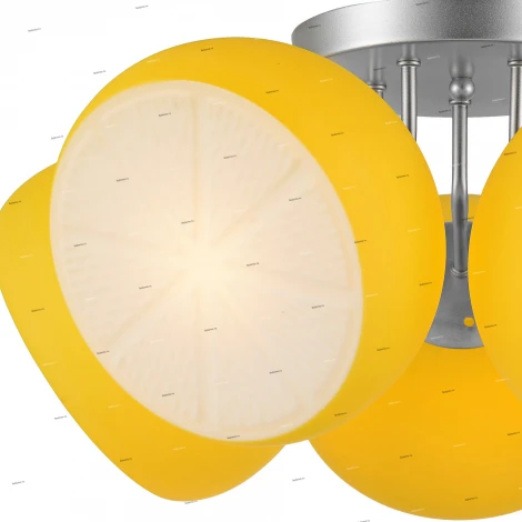 Потолочная люстра ST Luce Arancio SL482.902.05