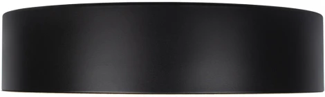 Потолочный светильник круглый Coin 10202 Black Loft It (LED, 220V, круглые)