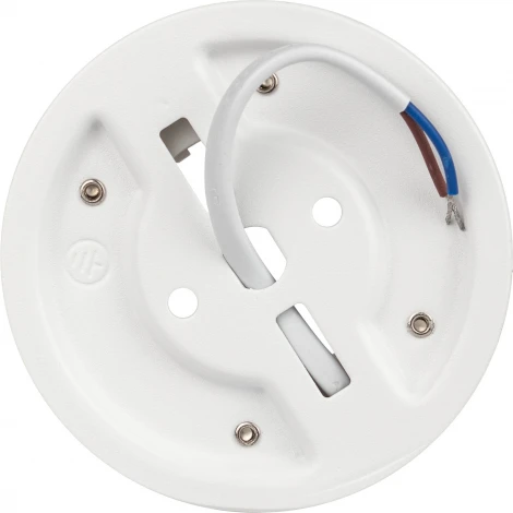 Точечный светильник ЭРА OL54 WH (220V)