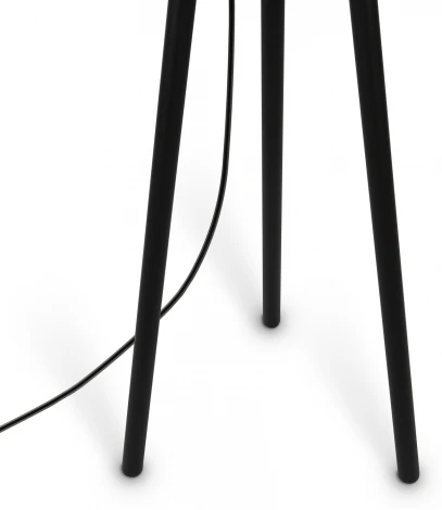 Торшер на треноге Maytoni Calvin Z177FL-01B (220V, выключатель)