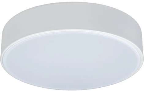 Потолочный светильник Loft IT Axel 10002/12 White