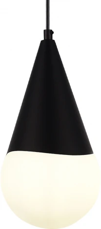 Подвесной светильник Evoluce Fiori SLE1197-403-01 Черный/Белый E27 1*40W (220V, на проводе, шар)