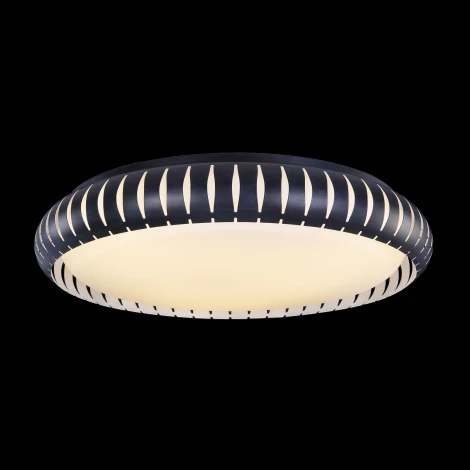 Потолочный светильник Freya Assanta FR6159-CL-36W-B