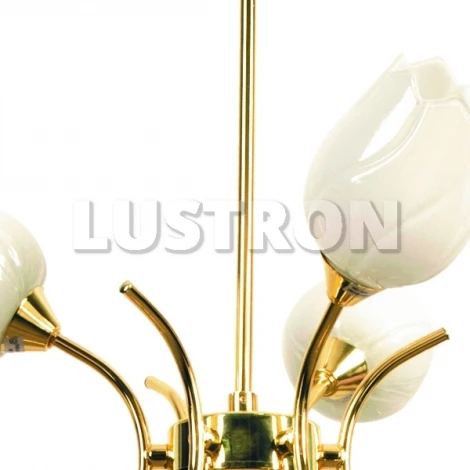 Подвесная люстра Arte Lamp Tulip A8292LM-9PB