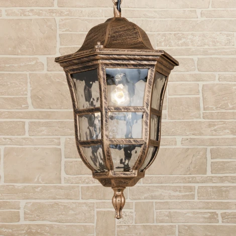 Уличный светильник подвесной Elektrostandard Dorado GL 1013H