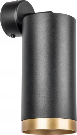 Спот Lightstar Rullo RB648790 (220V)