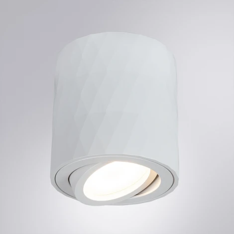 Точечный светильник накладной Arte Lamp Fang A5559PL-1WH (220V, круглые)