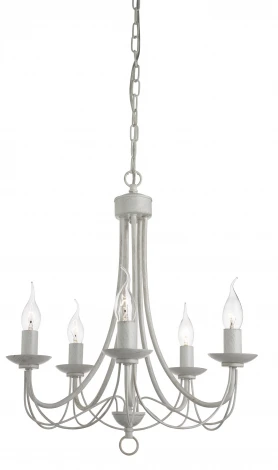 Подвесная люстра Arte Lamp Maypole A6300LM-5WG