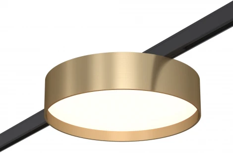 Магнитный трековый светильник ST Luce Super5 ST670.336.12 Латунь LED 1*12W 24V (круглые)