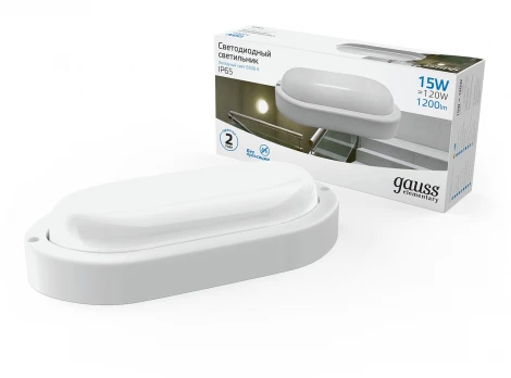 Настенно-потолочный светильник Gauss Elementary 161411315