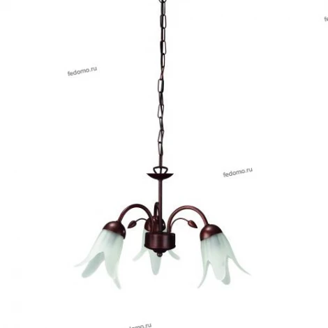 Massive Alberi 37725-86-10