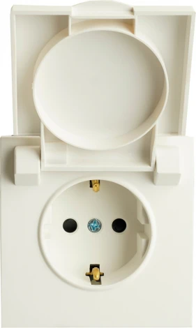 Розетка с заземлением и защитной крышкой (белый) Stekker Эмили 49881