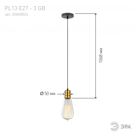 Подвесной светильник ЭРА PL13 PL13 E27 - 3 GB