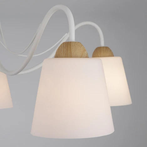 Потолочная люстра Eurosvet Betty 70062/5 белый (220V)