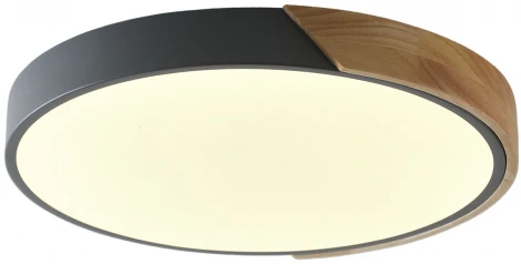 Потолочный светильник круглый Zortes Alberro ZRS.01280.90 (LED, 220V, круглые)