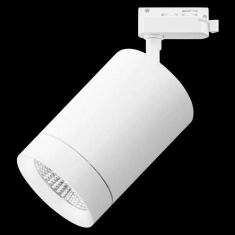 Трековый светильник Lightstar Canno 303262 (LED, 220V)